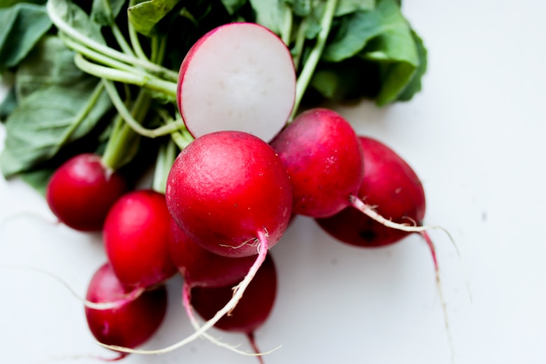 Korean Radish